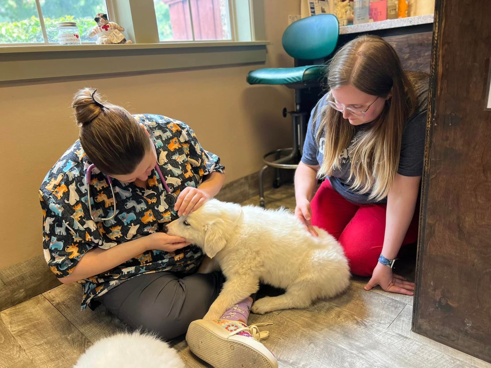 Book an Appointment at Animal Medical Center of Richardson